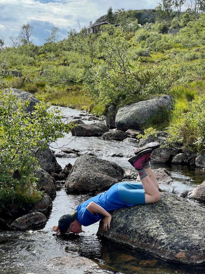 Апартаменты Flott Pa Haugen I Sirdal *